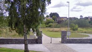 Councillor raises maintenance concerns over Kilkenny riverside park