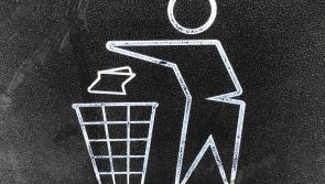 An Taisce survey ranks the cleanest town in Ireland 