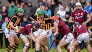 Galway Hurlers Fancied For Titles In 2022 Following Shefflin Appointment