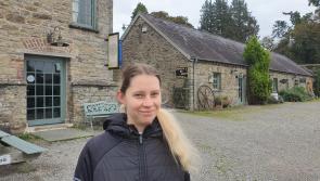 Taking the first steps into a new career at Castlecomer Discovery Park