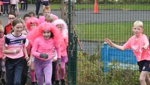Gallery: Kilkenny schools do us proud in Great Pink Run. Click for pics!