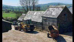 Hopes wildlife will return as Kilkenny farm building now being lovingly restored 