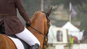 Kilkenny City to be South-East's most important equestrian centre