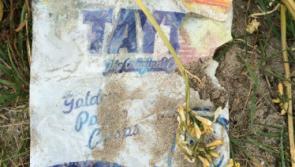 Not so sweet 16 year old crisp packet found in Kilkenny litter clean up