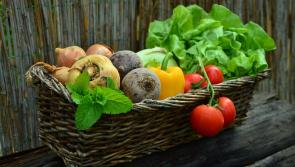 Supports needed to embrace organics funding opportunity - IFA