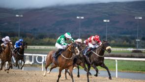 O'Brien and Blackmore team up for Naas triumph