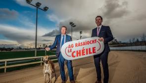Kilkenny Greyhound Stadium to host open night on Friday