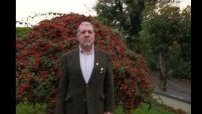New lights will be early Christmas present for Foulkstown