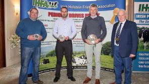 Pure Irish Friesian breeders in Kilkenny win IHFA awards