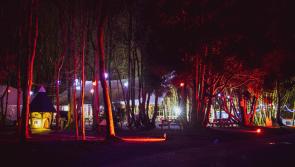 Enjoy Elf Village fun and much more at the Castlecomer Discovery Park this festive season