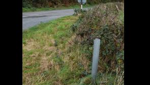 Anger and confusion over mystery of signposts being cut down across South Kilkenny
