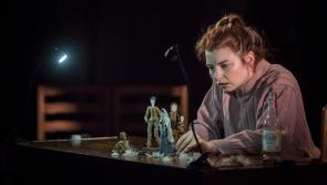 Comic tale to spread its wings at Watergate Theatre in Kilkenny