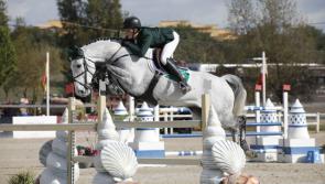 Kilkenny rider jumps to winning glory at the 2021 Nations Cup 