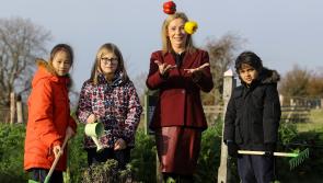 Free veggie growing kits for Kilkenny schools from  Incredible Edibles programme