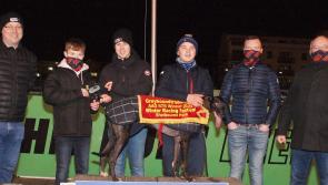 Kilkenny Trainer wins at the Shelbourne Park Winter Racing Festival