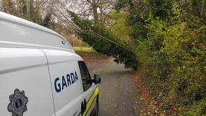 Storm Barra: Motorists to avoid Sion Road in Kilkenny as tree down