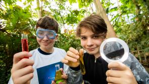 Kilkenny students compete for EirGrid climate award