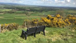 Popular Kilkenny walking event returns this St Stephen's Day - all for a good cause!