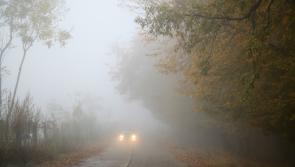 RSA and Gardai Issue Safety Reminder on Shortest Day of the Year - ‘Be Safe, Be Seen’