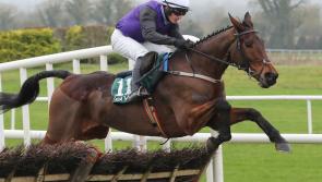 Horse Racing- Mullins and O'Brien enjoy successful week ahead of busy Christmas period