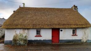 Pictures: Securing Kilkenny's past for our future heritage