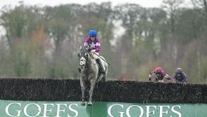 Coco Beach wins Thyestes at Gowran  but it’s another year of Mullins glory