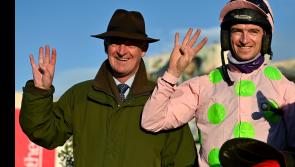 Plenty of presents as the festive racing season delivers a sackful of success for Team Mullins