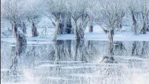 Extremely cold tonight in Kilkenny with widespread temperatures below -5 degrees 