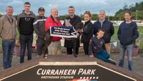 Kilkenny Greyhound success in Curraheen Park