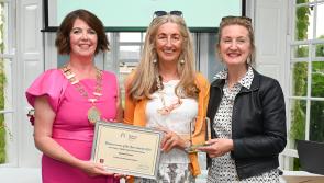 Pictures: Kilkenny businesswomen go forward to national awards after local success
