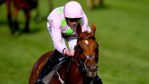 Willie Mullins-trained duo favoured by Melbourne Cup draw