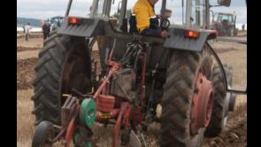 Tullogher Glenmore ploughing match this weekend!