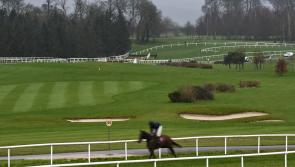 Gowran Park becomes racing's focal point once again for Red Mills Race Day as Cheltenham and Aintree credentials put on the line