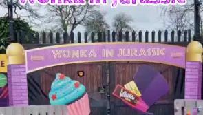 Watch: ‘Wonka in Jurassic’ experience at Newpark Hotel in Kilkenny this Easter