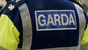 Two men with North Kilkenny connections join An Garda Síochána 
