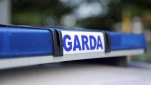Gardaí renew appeal for information on 36 calves stolen from Kilkenny farm