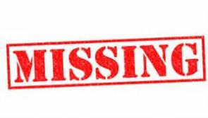 Kilkenny chef Anne Neary's dogs are missing