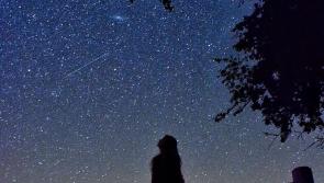 No, they're not aliens! Local forecaster spots Starlink satellites moving over Ireland 