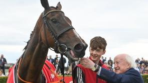 TOP READ (2022): Horse bought in Kilkenny for €850 wins American Grand National