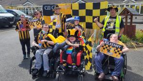 GALLERY #2: Your Kilkenny supporter pics!