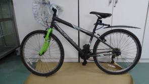 UPDATE: Gardai appeal for information on bike in investigation of murder of Ashling Murphy in Tullamore