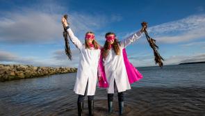 Kilkenny students in action, with Young  Scientist winners to be announced later today