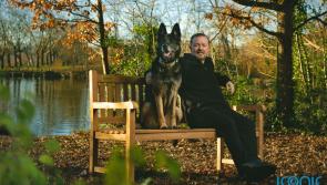 Netflix donates benches as part of mental health initiative
