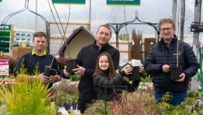 Free trees in Kilkenny! Glanbia Ireland celebrates hitting 100,000 tree-planting target 12 months early