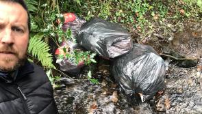 Councillor seeks larger fines to tackle ‘disgusting’ increase of dumping in Kilkenny 