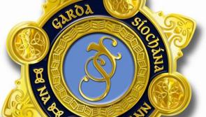 Gardaí issue renewed appeal on fatal collision in South Kilkenny