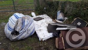 'Absolutely shameful' illegal dumping discovered on North Kilkenny roadside
