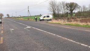 Locals in fear following reported attack on Kilkenny schoolgirl, says local councillor