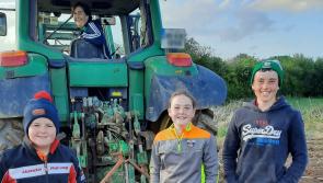 Kilkenny beetroot business sets down strong roots with LEADER funding support