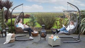 EZ Living Furniture | Six egg-cellent uses for egg chairs